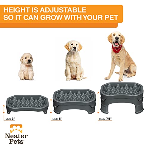 Neater Pet Brands – Neater Raised Slow Feeder Dog Bowl – Elevated and Adjustable Food Height - (6 Cup, Gunmetal)