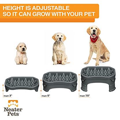 Neater Pet Brands – Neater Raised Slow Feeder Dog Bowl – Elevated and Adjustable Food Height - (6 Cup, Gunmetal)