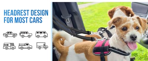 Dog Seat Belt for Car, Dual Pet Vehicle Headrest Restraint Safety Seatbelt,Two Dog Leash No Tangle Dog Car Leash Seat Belt,Duty Adjust Elastic Connect Harness in Vehicle Travel (Blue) - color: Blue