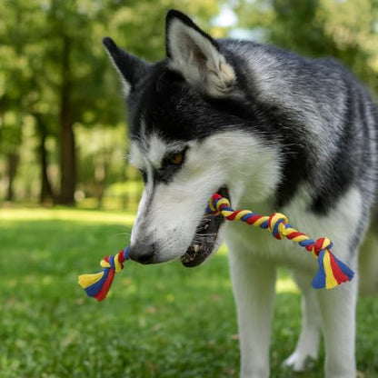 Dog Rope Toys for Medium and Large Dogs | Strong Cotton Rope Set for Chewing, Teething Comfort, Tug Play and Daily Interactive Activities | (2 pcs Dog Toys Combo)