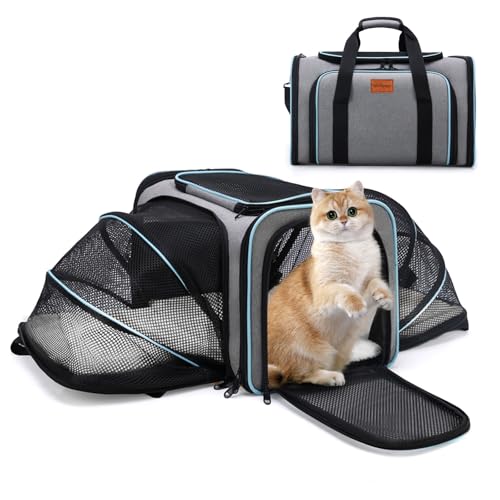 Expandable Airline Approved Pet Carrier, Soft-Sided Travel Bag for Small Cats Dogs with Hard Shell Base, Removable Fleece Pad, Ventilated Mesh, Gray (Blue Trim)