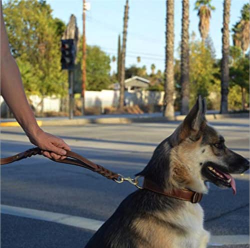 Guiding Star Double Handle Leather Dog Leash 6ft, Heavy Duty Braided Dog Leash with Traffic Handle for Small Medium & Large Dogs (Two Handles 6 Foot x 5/8", Brown) - color: Brown