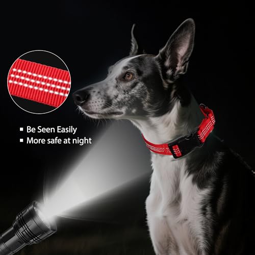 Martingale Dog Collar Quick Release Buckle No Pull Reflective Non-Slip for Medium Large Dogs Training (Red, Large) - color: Red, size: Large (Pack of 1)