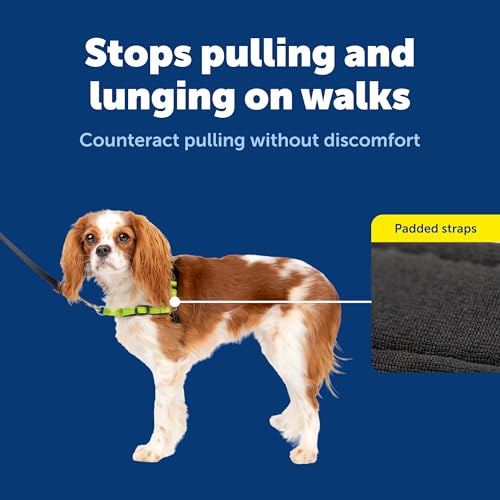 PetSafe Easy Walk Deluxe Dog Harness, No Pull Dog Harness Perfect for Leash & Harness Training Stops Pets from Pulling and Choking on Walks Small, Apple - color: Apple Green, size: Small (Pack of 1)