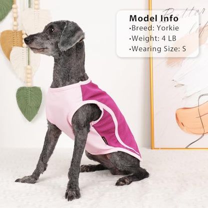 2 Pack Dog Clothes,Dog Shirts for Small Dogs,Quick Dry Dog Vest Boy Girl Summer, Puppy T-Shirt with Reflective Strip,Sun Protection Sleeveless Cool Breathable Pet Apparel(Pink and Green, XS) - color: Pink and Green, size: X-Small (Chest 12.2 in)