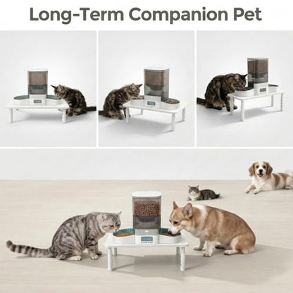 Raised Automatic Cat Feeder Stand for Double Bowl Feeders, Carbon Steel 14.57 x 9.25 in, 3 Adjustable Heights 4.13-5.71 in, Non-Slip, Fits Feeders & Water Dispensers, No-Drill (White) - color: White