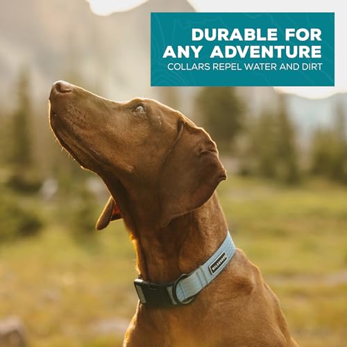 Wilderdog Waterproof Dog Collar - Repels Water & Dirt - Small 11"-15" - Saltwater - color: Saltwater, size: Small