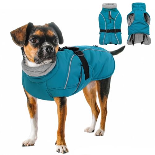 Queenmore Medium Dog Coat, Winter Dog Jacket, Waterproof Puffy Dog Snowsuit, Adjustable Reflective Fleece Lining Warm Padding Parka for Cold Weather, Blue M - color: Blue, size: Medium