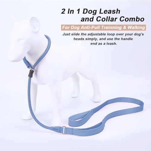 Slip Lead Dog Leash, Dog Training Leash with Double Handle, Soft Leather Slip Leash and Collar, Heavy Duty Nylon Dog Lead, No Pull Walking for Medium Large Small Dogs 5ft Blue Purple - color: Blue Purple, size: 5ft
