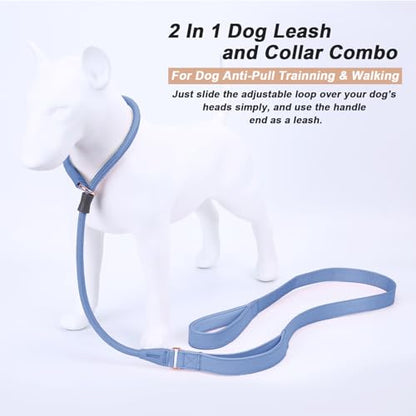 Slip Lead Dog Leash, Dog Training Leash with Double Handle, Soft Leather Slip Leash and Collar, Heavy Duty Nylon Dog Lead, No Pull Walking for Medium Large Small Dogs 5ft Blue Purple - color: Blue Purple, size: 5ft