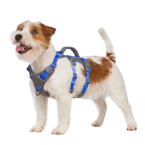 Huntboo Reflective Dog Harness with Handle, Escape Proof, No Slip, Breathable, Lightweight, Adjustable Lift Harness for Small, Medium, and Large Dogs Walking, Training, and Running Gear(Sea Blue,XS) - color: Sea Blue, size: X-Small(Pack of 1)