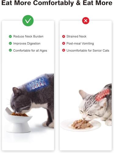 ABRUTY Cat Food Bowl, 5 OZ Ceramic Elevated Kitten Water Bowl, 15° Tilted Raised Pet Feeder, Anti Vomiting and Whisker Friendly Dishes for Fat Faced, Cat, Kitten, Small Dog - color: White Cat, size: 1 Pack