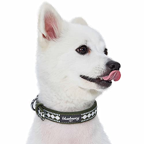 Blueberry Pet Reflective Jacquard Dog Collar with Neoprene Padding & Metal Buckle | Soft & Adjustable Safety Collar - Olive, Neck 9-12.5", for Small Breed - color: Metal Buckle-Olive, size: Small