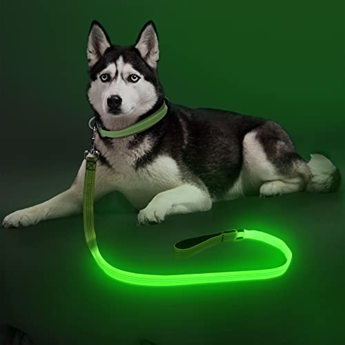 Light Up Dog Leash, USB Rechargeable, LED (4FT,Green & Reflective Wires) | Glow in dark, reflective, USB-C rechargeable, bright LED for night safety, fits small to large dogs - color: Green & Reflective Wires, size: 4FT