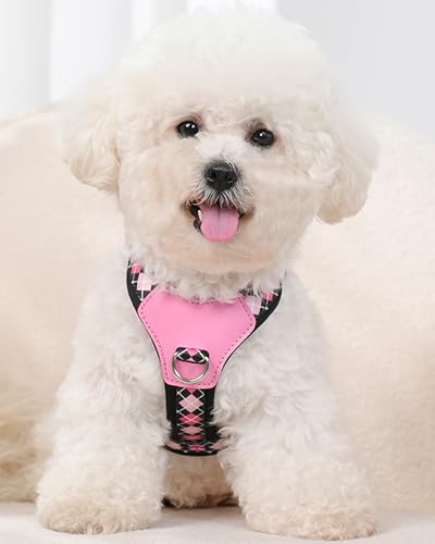 Petank Black xs Dog Harness for Small Dogs, No Pull Dog Harness with 2 Leash Clips, Puppy Harness, Adjustable Dog Vest Harness (Black, XS) - color: Black, size: XS