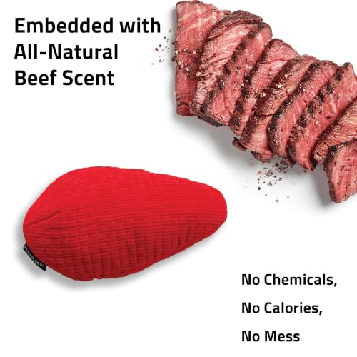 Playology Dog Toys | Plush Toy Crinkle Egg for Large Dogs | Beef Scented Jumbo Plush Chew Toy - size: Jumbo Egg, style: Beef