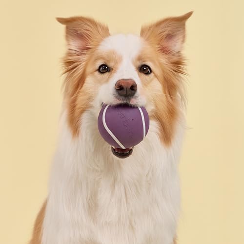 Playology Dog Toys | Squeaky Chew Ball for Large Dogs | Bacon Scented Jumbo Dog Balls | Bouncy Floating Chew Toys for Fetch - size: Jumbo, style: Bacon