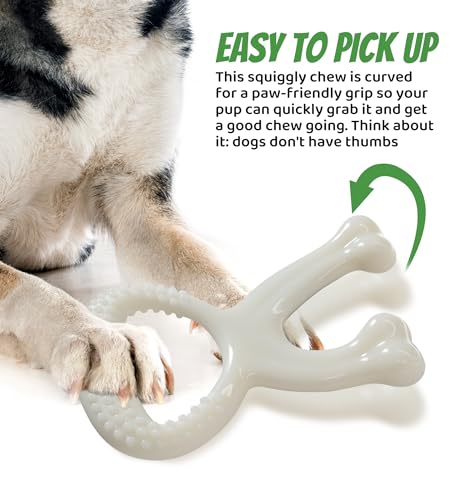 Durable Dog Chew Toy for Aggressive Chewers, Indestructible Nylon Bone Dental Care Teeth Cleaning Chew Toy for Small, Medium and Large Dogs, Keep Them Busy, Irresistible Beef Flavor (White) - color: White