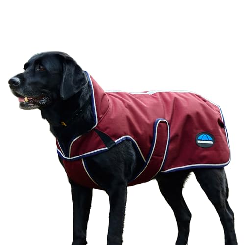 WeatherBeeta ComFiTec Premier Deluxe Waterproof Dog Coat, Burgundy/Navy, 16" - color: Burgundy/Navy, size: 16"