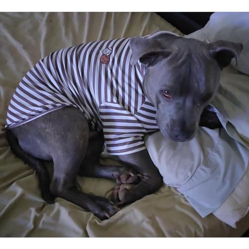 Turtleneck Dog Shirt Cute Doggie Embroidery Super Soft Dog Sweatshirt Stretchy Striped Puppy Pullover for Cats Small Medium Large Dogs (Red Striped, 5X-Large) - color: Red Striped, size: 5X-Large