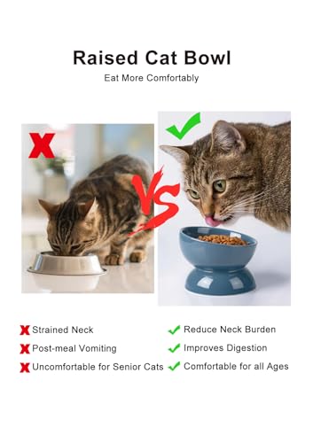 ABRUTY Cat Water Bowl, 16 OZ Ceramic Elevated Cat Bowls, 15° Tilted and Raised Pet Food Dish, Anti Vomiting Protect Pets' Spines and Whisker Fatigue, Set of 2, Blue - color: Blue, size: 2 Pack
