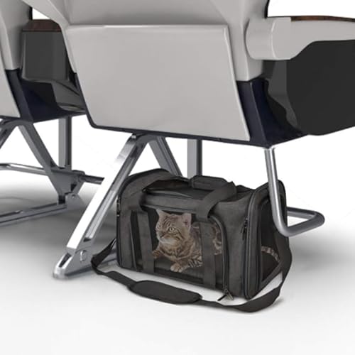 Movelo, Pet Carrier with Two Entrances – Top & Side Opening Soft-Sided Travel Carrier for Cats & Small Dogs up to 25 lbs – Airline Approved, Mesh Ventilation, Removable Pad & Shoulder Strap