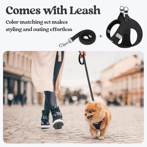 rabbitgoo Dog Harness Small Sized and Leash Set, Step in Soft Light Puppy Vest, Breathable Mesh Pet Harness, Reflective for Safe Easy Walking, Black XXS - color: Black, size: Xxs (chest: 12.4 - 14.2")