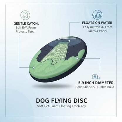 Soft EVA Foam Dog Flying Disc, Floating Fetch Toy for Water & Outdoor Play, 5.9 Inch Green