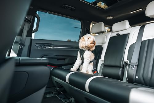 Thule Cappy Dog Harness L - Crash-Tested for Safety - Seatbelt passthrough - Adjustable & Easy to Clean - Padded Breathable mesh Panels - Leash Loop - Step-in Design - size: Large