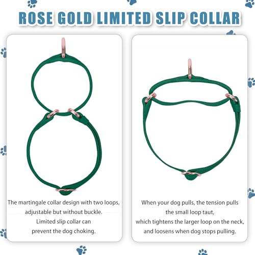 Soft Leather Martingale Dog Collar - Adjustable Rose Gold Limited Slip Collars [Easy to Clean], Stylish Durable Heavy Duty Nylon No Pull Training Collar for Small Medium Large Dogs XS Dark Green - color: Dark Green, size: XS (Neck 8"-11", Width 3/5")