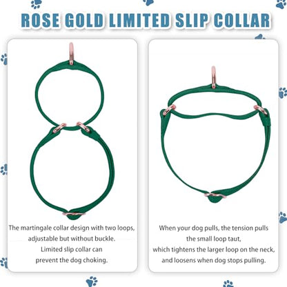 Soft Leather Martingale Dog Collar - Adjustable Rose Gold Limited Slip Collars [Easy to Clean], Stylish Durable Heavy Duty Nylon No Pull Training Collar for Small Medium Large Dogs XS Dark Green - color: Dark Green, size: XS (Neck 8"-11", Width 3/5")