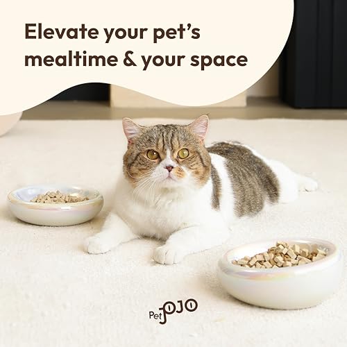 Pebble Pet Bowl Deep Pearl, Ergonomic Dog Cat Feeding Bowl, Flat-Faced Breed, Tilted Ceramic Pet Food Dish, Scooper Eater, Anti-Spill Design, Dishwasher Safe, Modern Pet Bowl, Dry & Wet Diet - color: Pearl