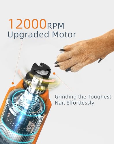 6-Speed Dog Nail Grinder & 3 Grinding Heads Super Quiet 45dB with 2 LED Lights 12000RPM Pet Nail Grinder& 3 Grinding Ports Dog Nail Trimmer for Large Medium Small Dogs with Dust Cap - size: Orange+3 Heads