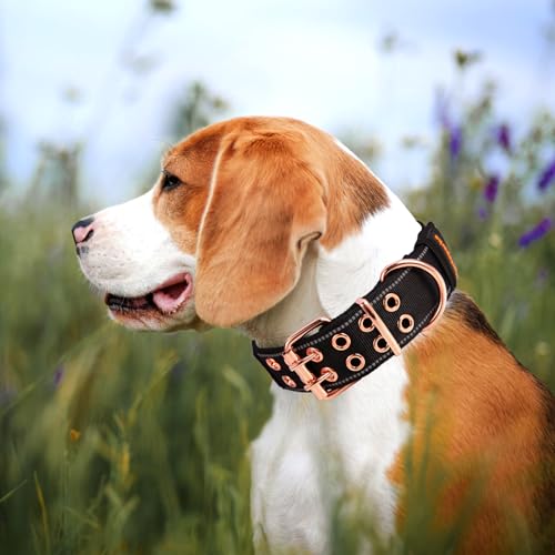 Heavy Duty Tactical Dog Collar with Neoprene Padded and Metal Buckle, Reflective Nylon for Medium to Large Dogs(Black, Medium) - color: Black, size: Medium (Pack of 1)