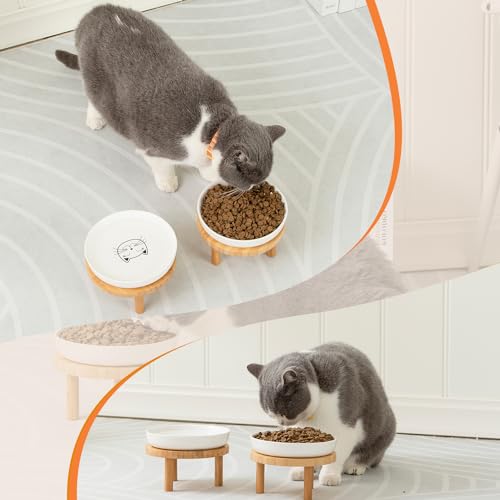 Lusifaco Shallow Elevated Cat Bowls,5.9 Inch Wide Raised Ceramic Cat Dishes with Bamboo Stand, Whisker Friendly Pet Water or Food Plates Feeding Station for Indoor Cats, Kitten(Green,Set of 2) - color: Green