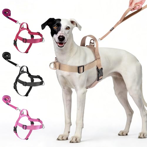 Annchwool No Pull Dog Harness with Front Clip and Easy Control Handle-Belly & Chest Adjustable Dog Harness and Leash Set for Small Medium Dogs-Heavy Duty Vest Harnesses Easy for Walking(Brown,S) - color: Brown, size: S