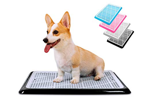 Pet Awesome Dog Potty Tray/Puppy Pee Pad Holder 25”x20” Indoor Wee Training for Small and Medium Dogs - color: Black