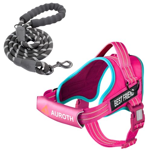 AUROTH Dog Harness and Leash Set, Soft Padded Service Dog Vest with 5.25FT Dog Leash, No Choke, Easy On Pet Vest, Adjustable Reflective No Pull Dog Harness Small Sized Dog, Easy Walking and Training - color: Rose Red, size: Small