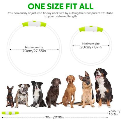 HIGO Light Up Dog Collars, USB Rechargeable LED Dog Collar, TPU Cuttable Dog Glow Collar, High Visibility Puppy Collar Safety Dog Lights for Night Walking(Green) - color: Green