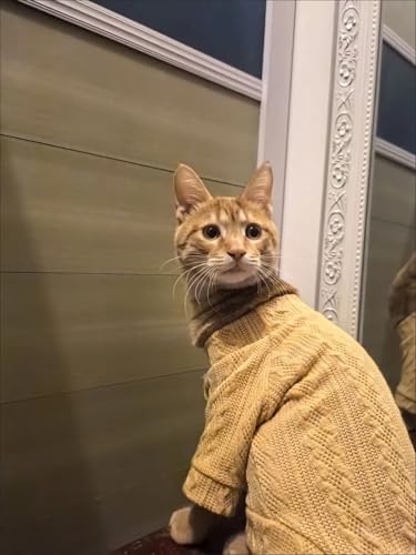 Kitten Clothes, Dog Cat Sweaters Pet Puppy Knitwear Costume Fall Winter Coat for Small Medium Cats Dog Girl Boy Fit 2.2-23lb - color: Yellow, size: Small