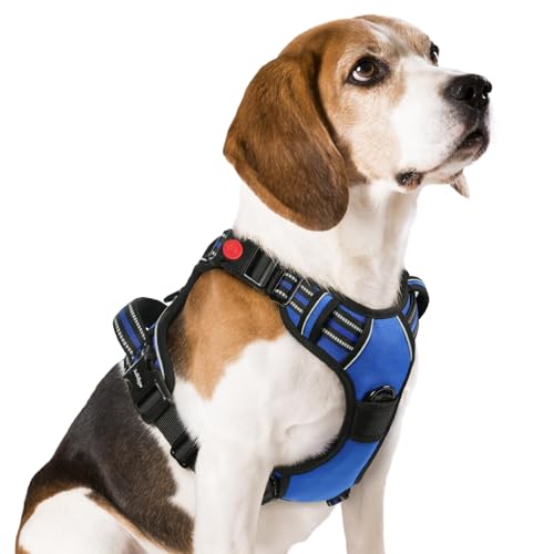 rabbitgoo Dog Harness Medium Sized, No Pull Easy On & Off with 3 Buckles Pet Harness, Adjustable Soft Walking Vest with 2 Clips and Handle, Reflective for Medium Dogs, Blue, M - color: Blue, size: Medium