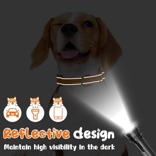 12 Pcs Martingale Collar for Medium Dogs Adjustable Pet Training Collar Reflective Dog Collar with Durable Metal Buckle Heavy Duty Nylon No Pull Martingale Collar for Small Medium Large Dogs, Large