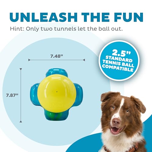 Outward Hound Tennis Maze Craze Interactive Squeaky Dog Toy, Blue - color: Blue Tennis Maze Craze, size: One-Size, style: Single