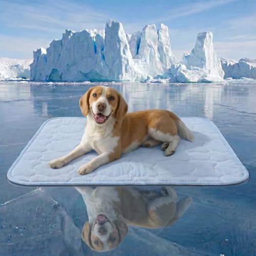 Pet Cooling Mat for Dogs, Breathable & Washable Cold Pad for Large Dogs, Thin & Portable Dog Bed for Crate Kennel Car Sofa Floor, Q-Max>0.4 Indoor Outdoor Summer Use, 36x24, Blue - size: 36" x 24" (L)