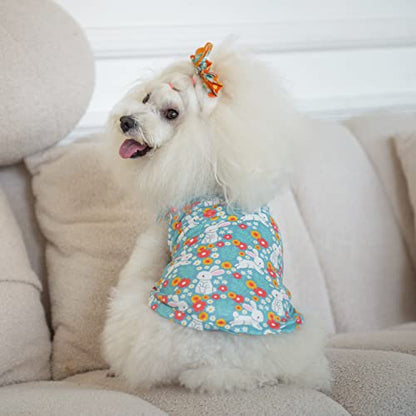 CuteBone Dog Shirts 2-Pack Soft Pet Clothes Breathable Summer Vest for Small Puppy and Stretchy Cat Apparel - color: Clovers&rabbits, size: Small
