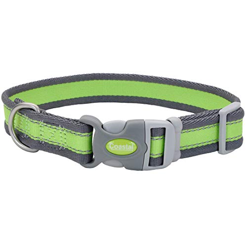 Coastal Pet - Pro - Reflective Adjustable Dog Collar, Bright Green with Grey, 3/4" x 08"-12" - color: Bright Green with Grey, size: 3/4" x 08"-12" (Pack of 1)