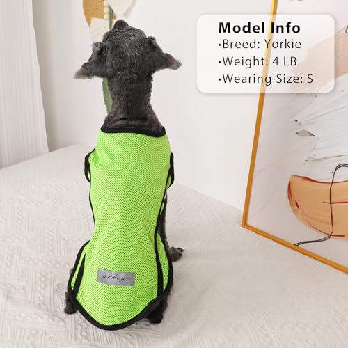 2 Pack Dog Clothes,Dog Shirts for Small Dogs,Quick Dry Dog Vest Boy Girl Summer, Puppy T-Shirt with Reflective Strip,Sun Protection Sleeveless Cool Breathable Pet Apparel(Green and Blue, XS) - color: Green and Blue, size: X-Small (Chest 12.2 in)