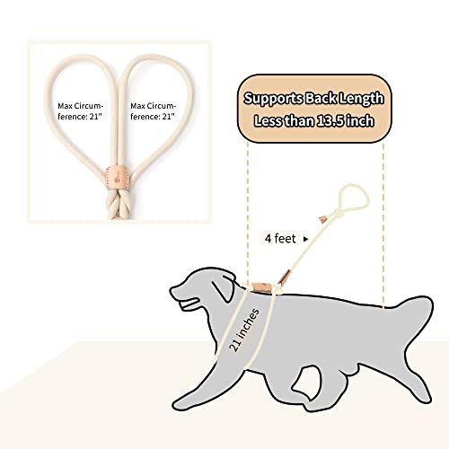 Mile High Life Harness Lead No Pull, All in one Dog Lead 2-in-1, Rope Leash and Harness Two in One, Slip Leash for Puppy Small Dogs Training, 4FT White - color: 4 feet-White