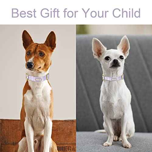 Nylon Dog Collar - Adjustable Lavender Soft Webbing Dog Collars for Small Medium Large Dogs Boy Girl Puppy Collar with Safety Metal Buckle XS - color: Nylon-Lavender, size: XS