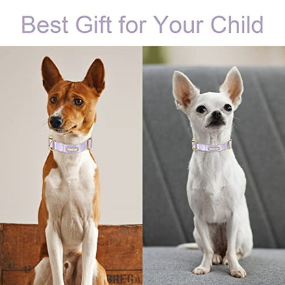 Nylon Dog Collar - Adjustable Lavender Soft Webbing Dog Collars for Small Medium Large Dogs Boy Girl Puppy Collar with Safety Metal Buckle XS - color: Nylon-Lavender, size: XS